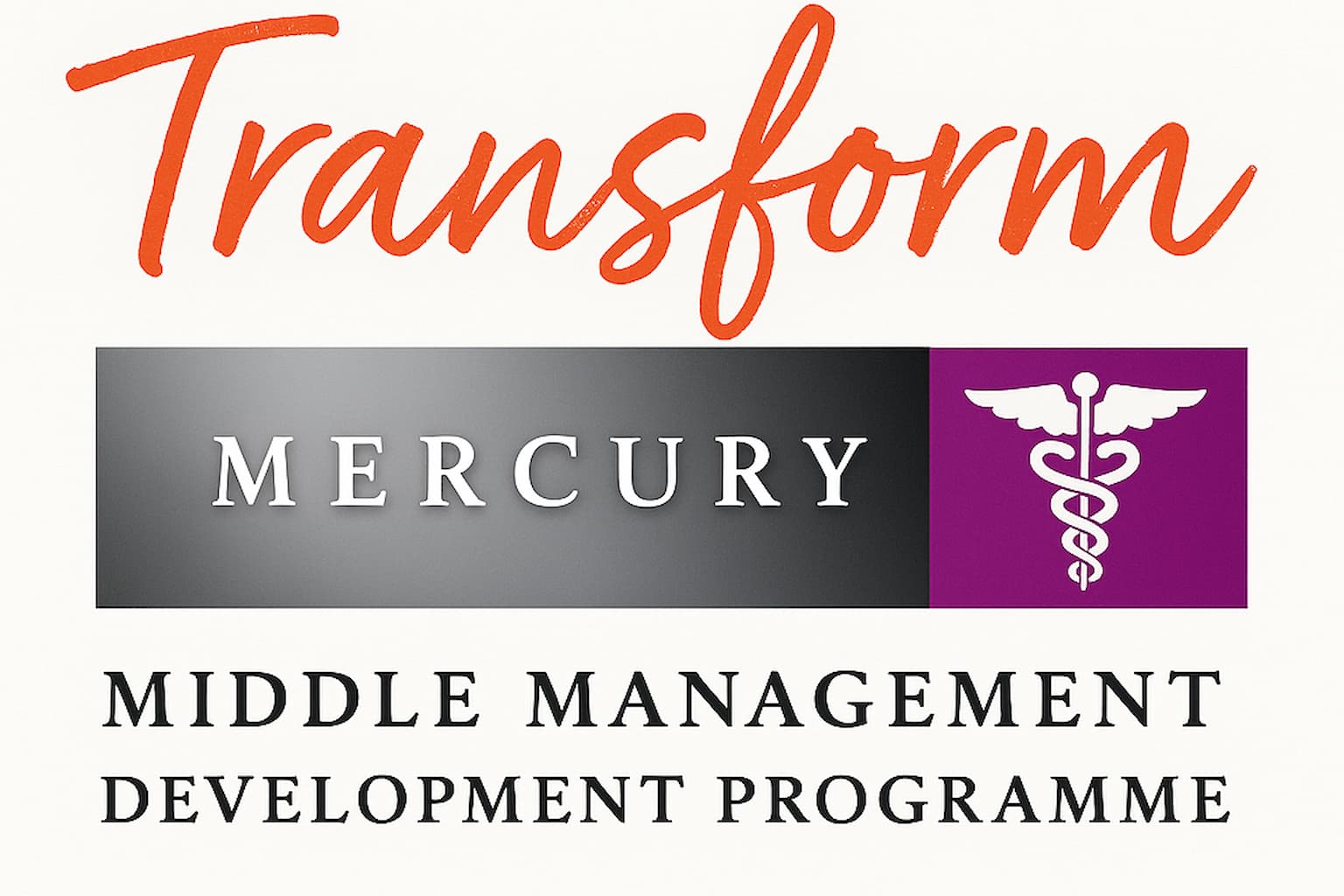 Mercury and Transform Development Program Support
